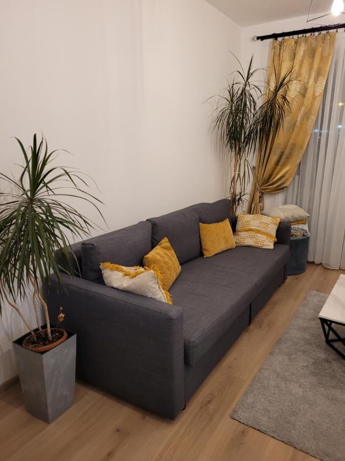 4Qualis Apartment Brasov Ngoại thất bức ảnh